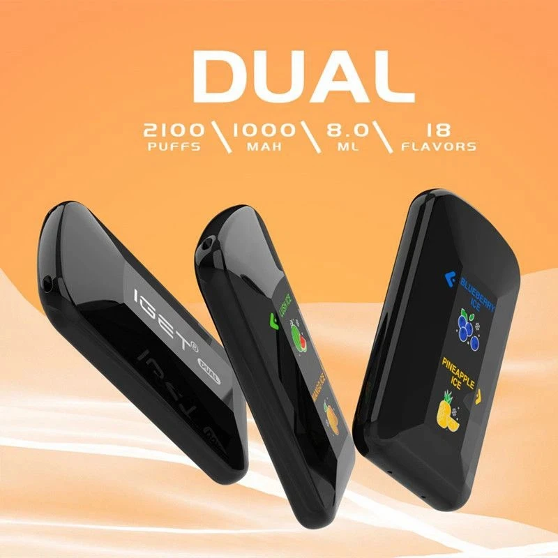 Dual 2100 Puffs Disposable Vape