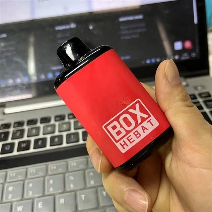 Hebat Box 5000 Puffs Disposable Vape suppliers